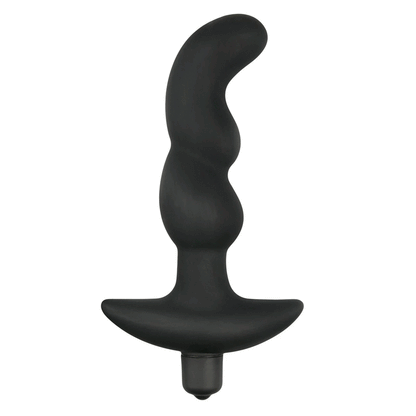 anal vibrador prostata