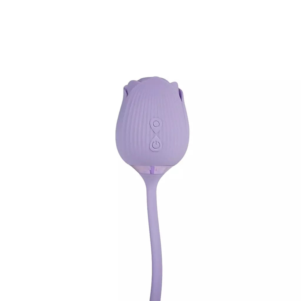 camtoyz-lotus-recargable