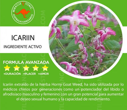 Kangaroo Potenciador Masculino x1 | TuErótica