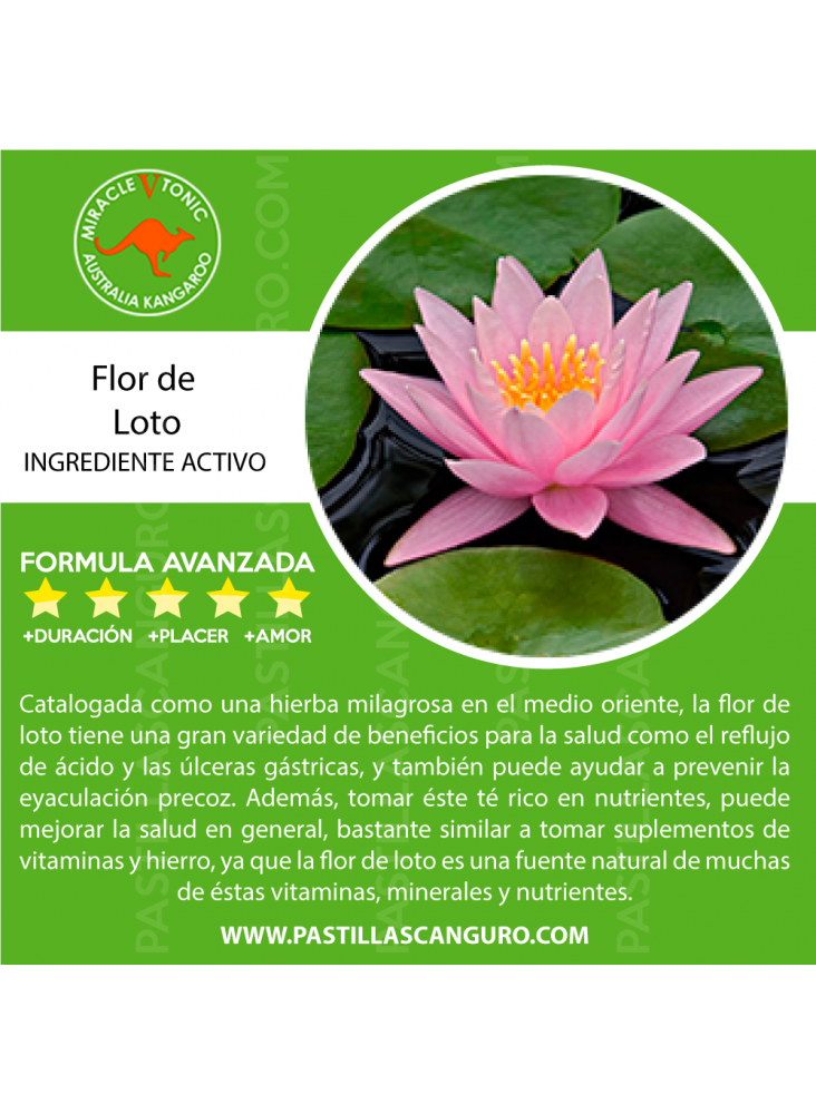 Kangaroo Potenciador Masculino x1 | TuErótica