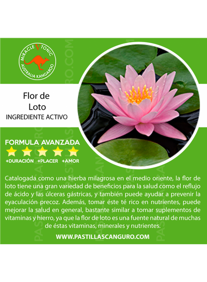 Kangaroo Potenciador Masculino x1 | TuErótica